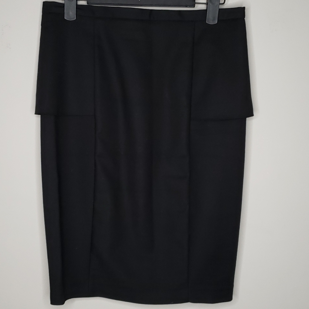 Zara Basic Black Skirt